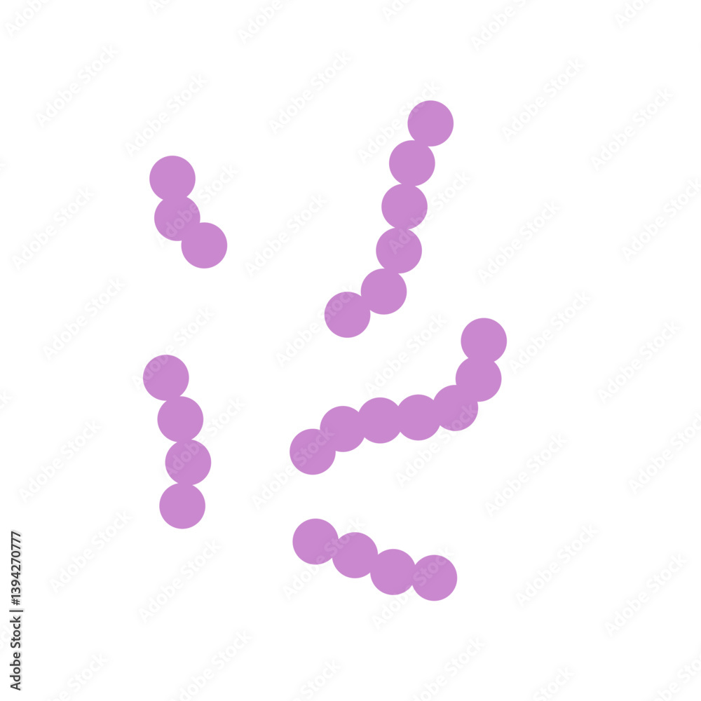 Streptococcus bacteria. Streptococcus pyogenes cells. Vector illustration Streptococcus bacteria. Streptococcus pyogenes cells. Vector illustration