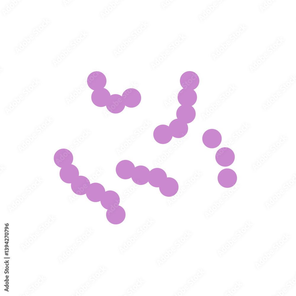 Streptococcus bacteria. Streptococcus pyogenes cells. Vector illustration Streptococcus bacteria. Streptococcus pyogenes cells. Vector illustration