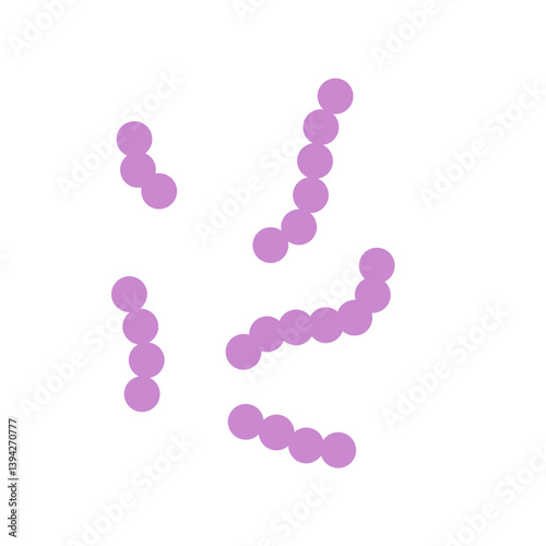 Streptococcus bacteria. Streptococcus pyogenes cells. Vector illustration 