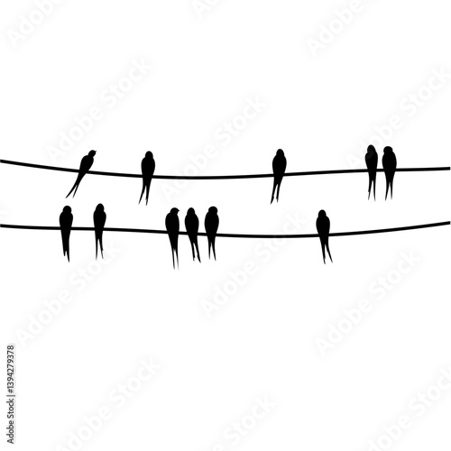 silhouettes of swallow birds on wires 