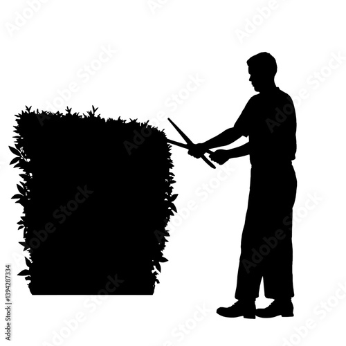 Silhouette of a male gardener using hedge shears to carefully trim, trimming a hedge, shape a large bush, garden maintenance, plant health, precision landscaping work in an outdoor natural environment