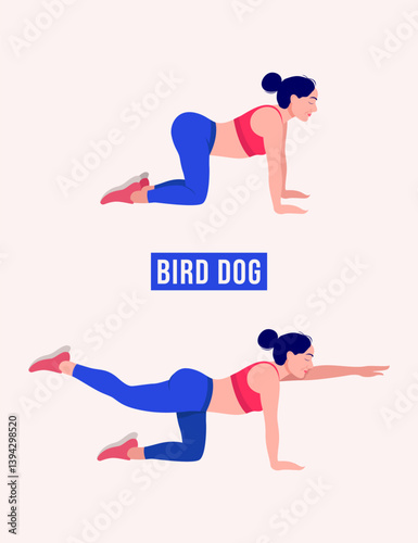 Bird Dog exercise, Woman workout fitness, aerobic and exercises.