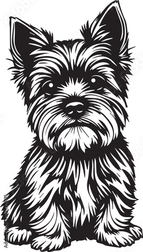 Yorkshire terrier dog. Hand drawn vector illustration	