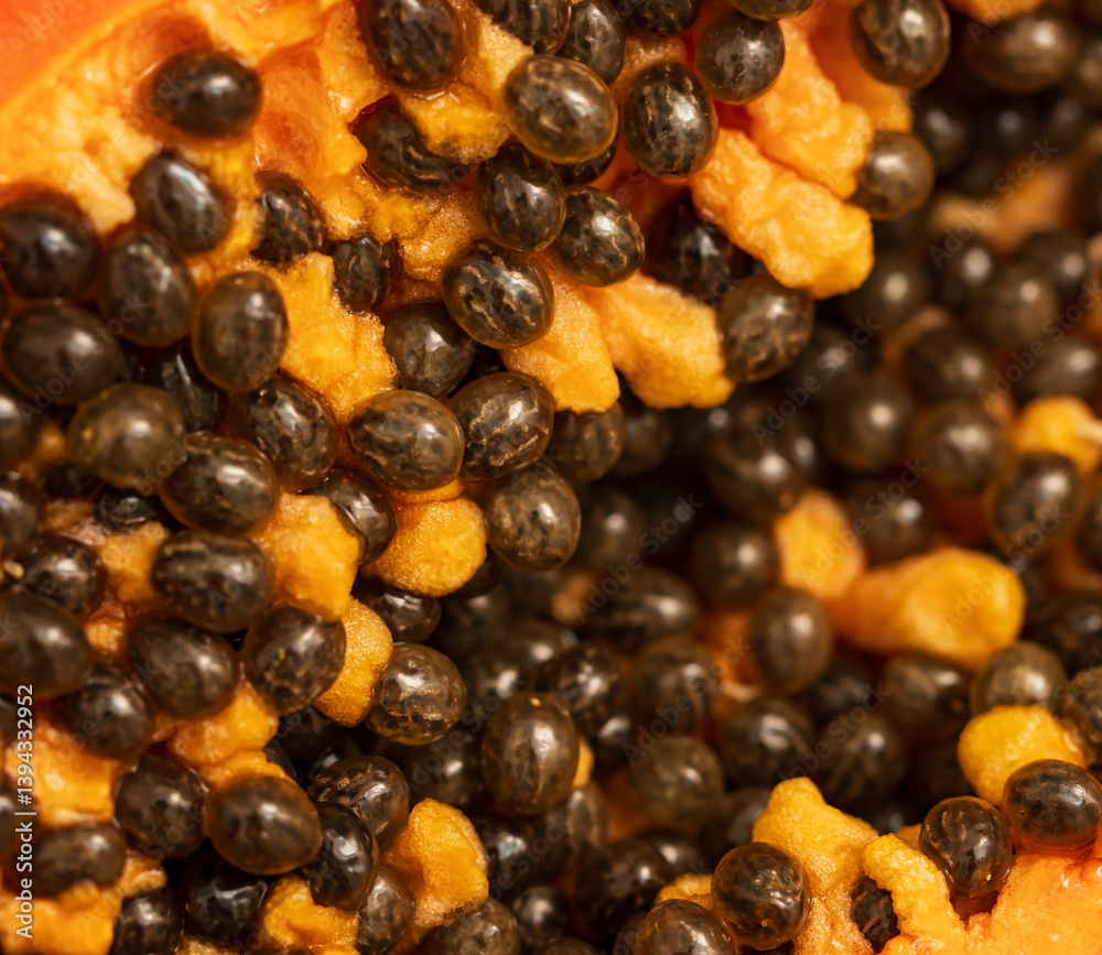 papaya seeds with pulp on white background. papaya seeds with pulp on white background.