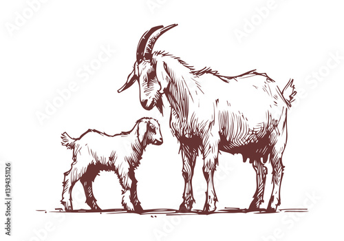 Boer Goat hand drawn sketch illustration vector