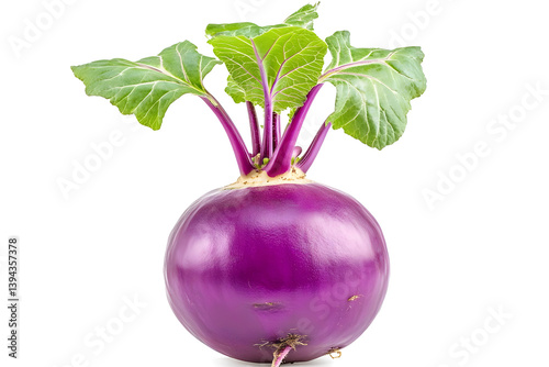 Purple Kohlrabi: Fresh Harvest, Vibrant Veggie