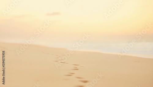 footprints in the sand