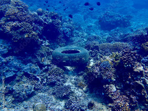Old tire underwater among corals. Car wheel on a coral reef. Car tire on the seabed. Garbage underwater. Environmental pollution.