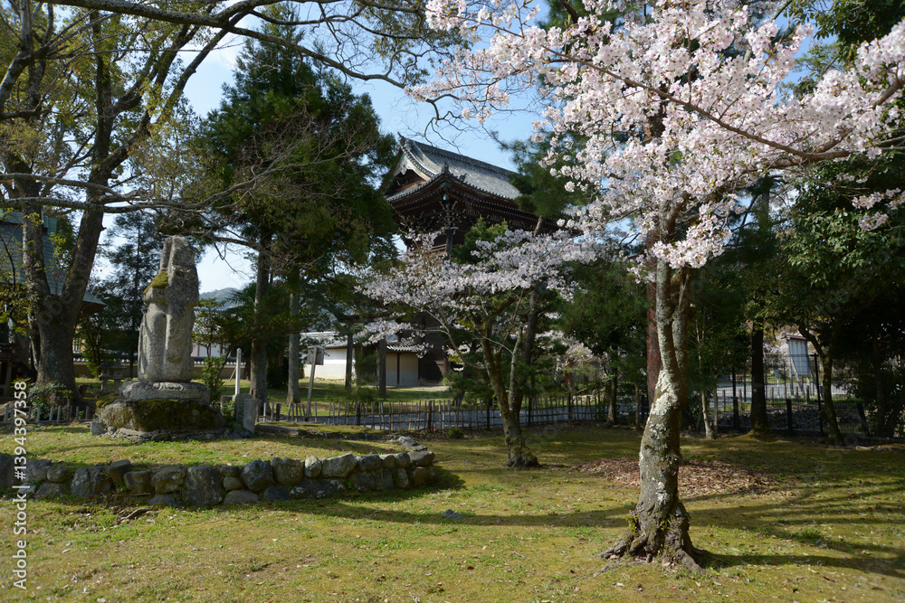 Obraz premium 春の清涼寺 仁王門 京都市右京区嵯峨