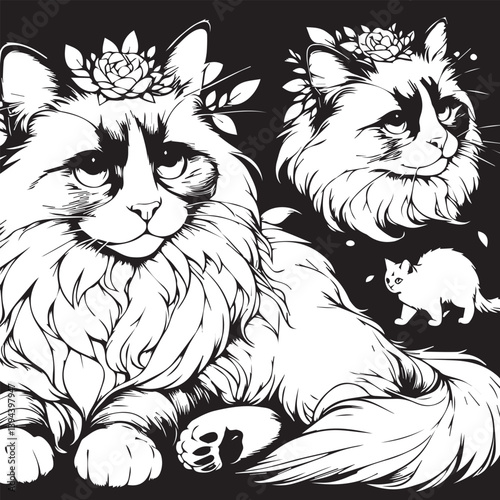 Black and White Ragdoll Cat Vector	
