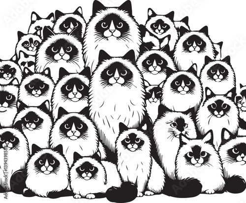 Black and White Ragdoll Cat Vector	