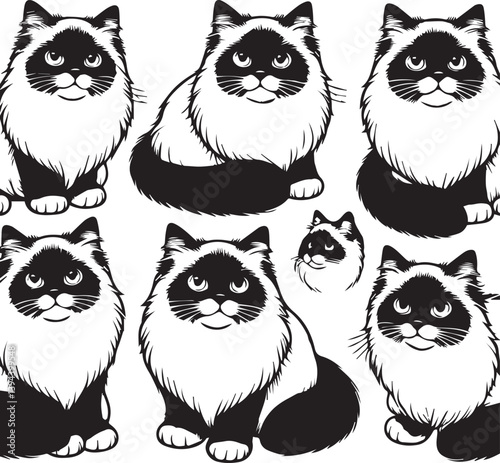Black and White Ragdoll Cat Vector	
