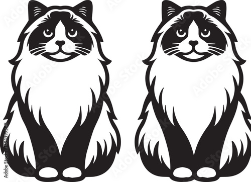 Black and White Ragdoll Cat Vector	