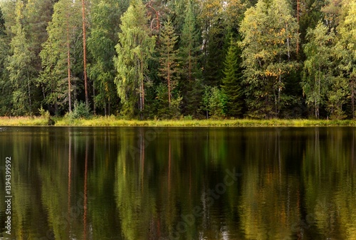 lake in the forest