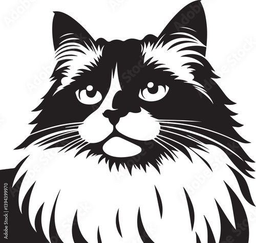 Black and White Ragdoll Cat Vector	