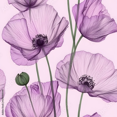 Translucent Purple Poppies Floral Art Print