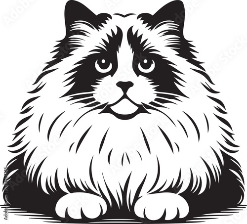 Black and White Ragdoll Cat Vector	