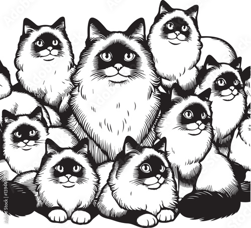Black and White Ragdoll Cat Vector	