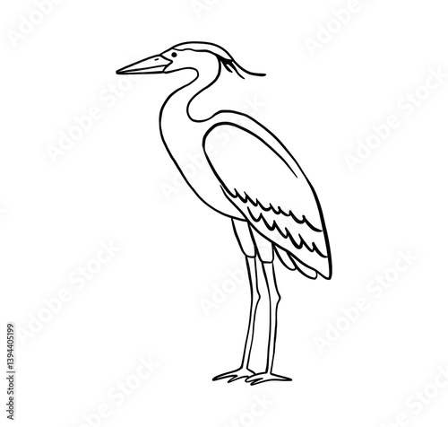 Outline stork. Vector line illustration pond bird isolated on white background.