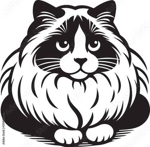 Black and White Ragdoll Cat Vector	