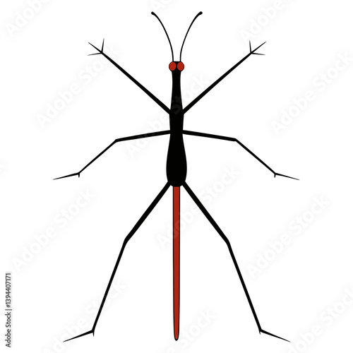 Stick insect