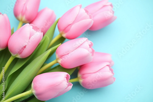 bunch of pink tulips on a blue background
