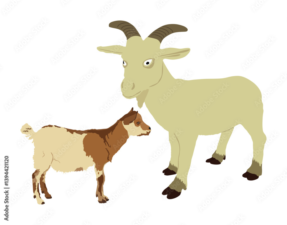 Farm goat and baby vector illustration isolated on white background. Farm animal family, goat and goatling symbol. Farm goat and baby vector illustration isolated on white background. Farm animal family, goat and goatling symbol.
