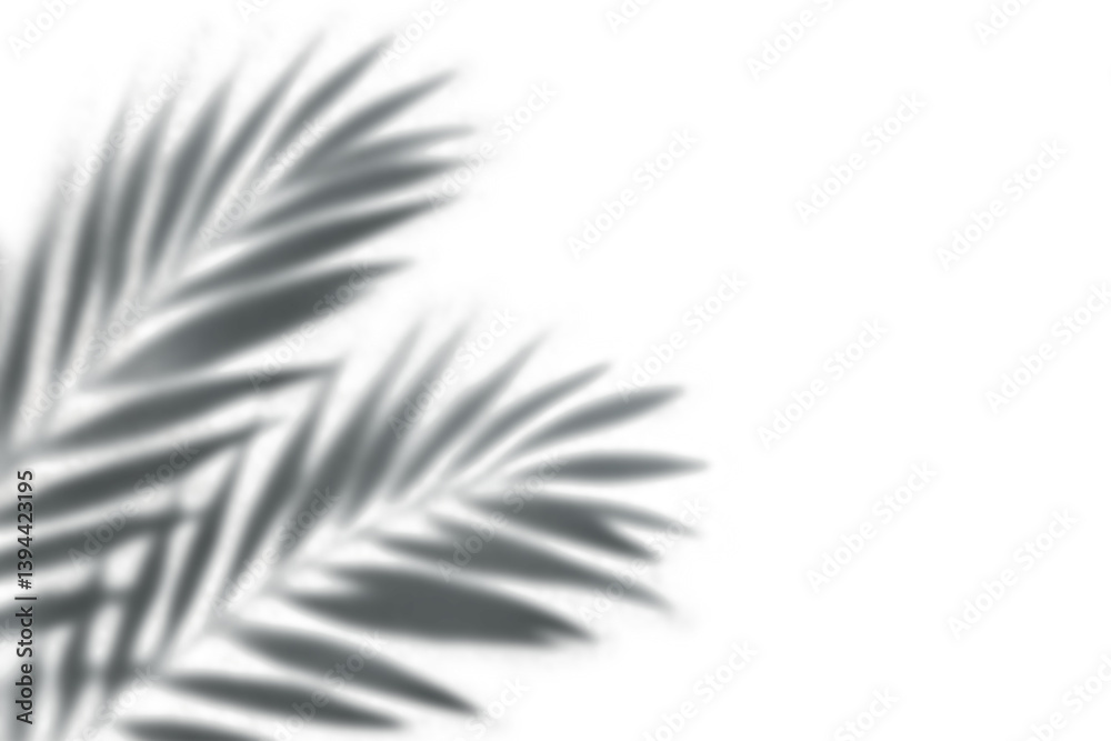 shadow overlay effects of realistic palm tree branch shadow with light blur on transparent background,Summer sunlight and shadow overlay effect shadow overlay effects of realistic palm tree branch shadow with light blur on transparent background,Summer sunlight and shadow overlay effect