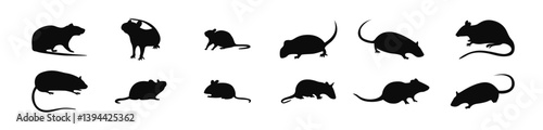 n isolated white background with mouse rat silhouettes, a large pack of modern silhouettes, vector illustration