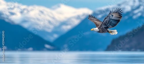 Obraz na płótnie An elegant eagle soars in flight above the serene water landscape w salonie