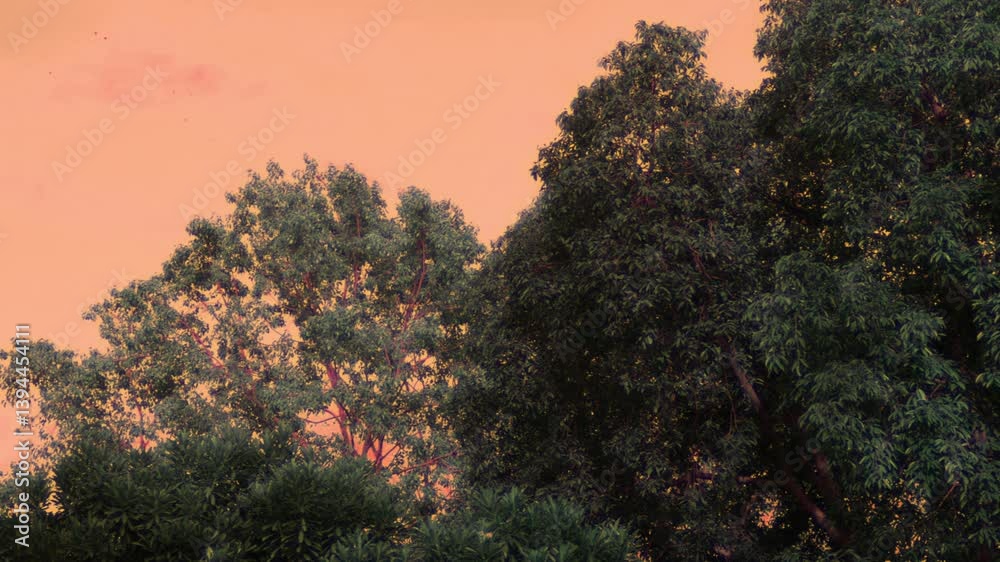 Abstract art trippy of tree branches and Leaves for Background. Abstract art trippy of tree branches and Leaves for Background.