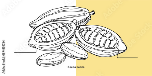Cacao beans continuous single line art drawing sketch on white background



