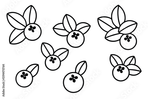 bilberry line art illustration