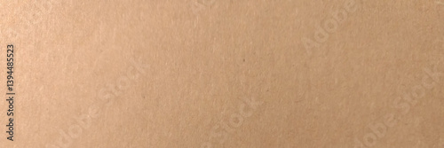Brown paper texture background. The brown paper is empty, Abstract cardboard background. Vector illustration.