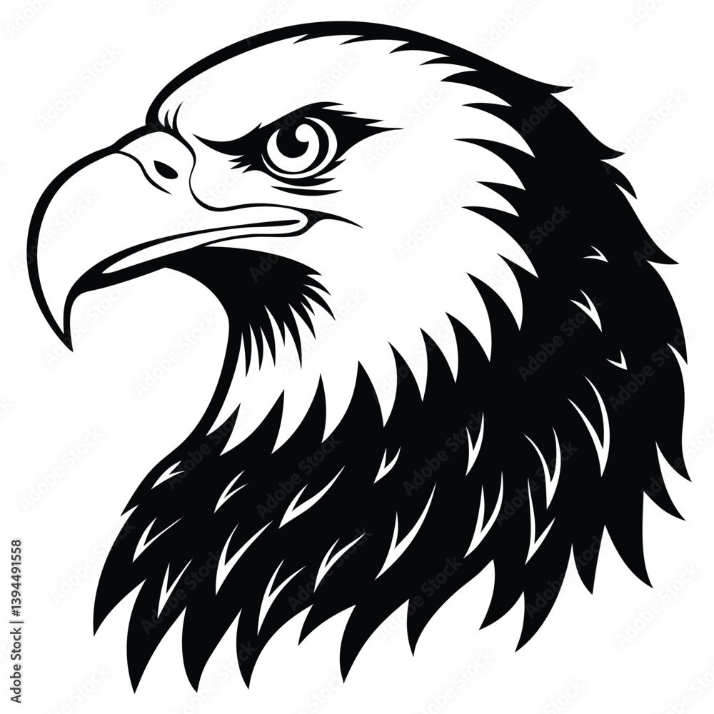 Obraz premium Eagle bald vector shilhouette single collection