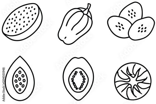 pawpaw line art stylized illustration of the tropical pawpaw fruit