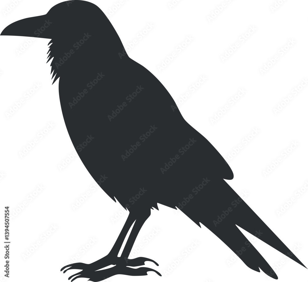 Naklejka premium Silhouette of a raven standing, emphasizing its dark and mysterious avian features.