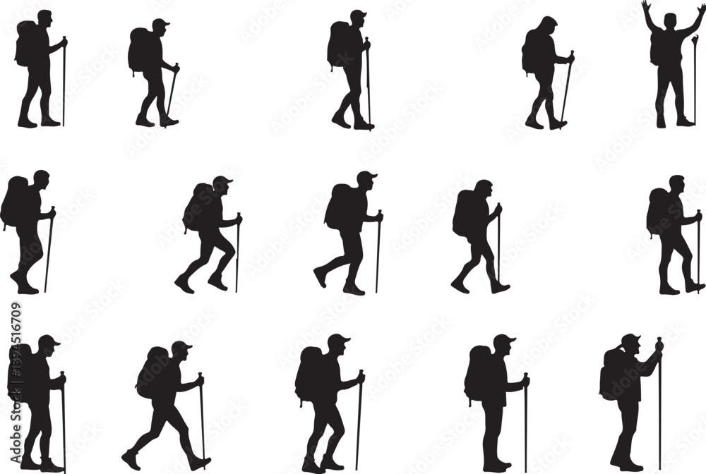 Obraz premium Hiker's Journey Through the Pines