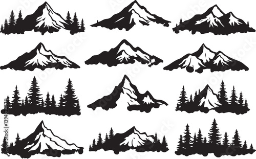 Nature Trails & Evergreen Dreams"