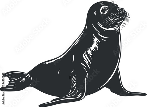 Black and white illustration of a seal in a simplistic and minimalist style.