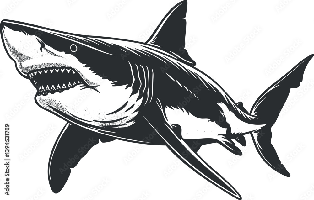 Fototapeta premium Black and white illustration of a great white shark showing its sharp teeth and powerful form.