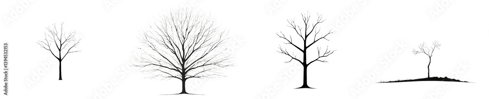 Obraz premium Minimalist isolated tree mockups featuring various bare tree designs for creative projects