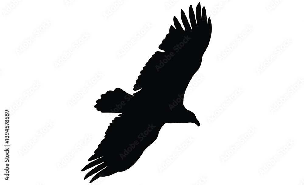 Fototapeta premium turkey vulture vector art silhouette, Turkey vulture silhouette vector flat illustration design