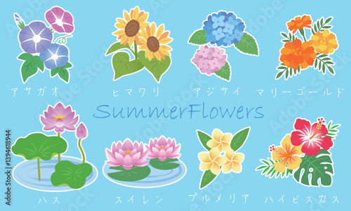 夏の花イラストセット　白いふち付き