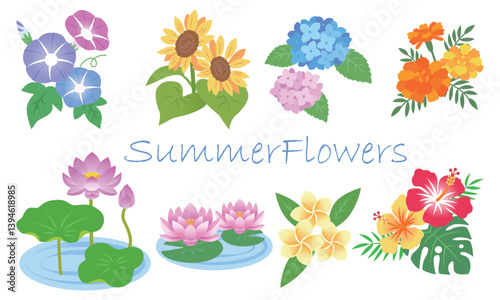 夏の花イラストセット
