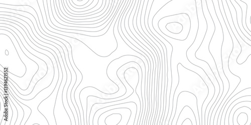 Abstract Geographical Map Illustration with Soft Wavy Lines Representing Elevation – Layered on a White Textured Background Inspired by Traditional Topography Charts