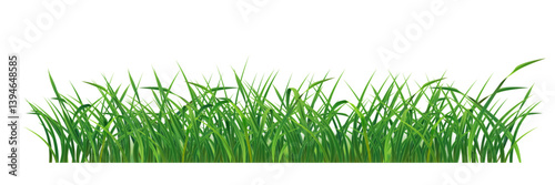 green grass line vector isolated