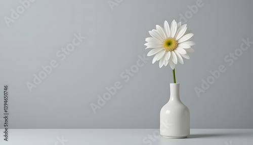 daisies in a vase