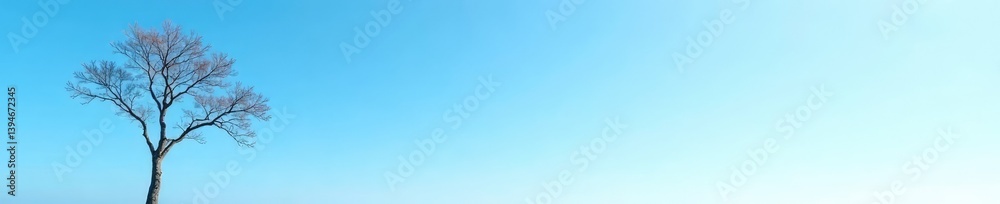 A single, bare tree branch against a bright blue sky on white, nature, serene, blue A single, bare tree branch against a bright blue sky on white, nature, serene, blue