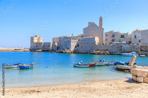 Fototapeta Naklejka Na Ścianę i Meble -  Giovinazzo old town in Apulia, Italy: view of the harbor from reef with the Cathedral of Santa Maria Assunta.